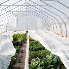 Материал укрывной плотность 80 г/м2 ширина 3,2м белый (10 пог м)