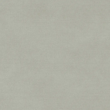 Обои 11365-04 Артекс FREEDOM Тельма-уни (1,06х10,05) (6)