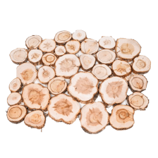 Спилы можжевельника с корой шлифованные 10 мм d=2-15 см