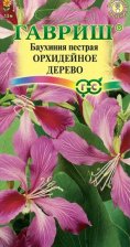 Семена Баухиния Орхидейное дерево 3шт (Гавриш)