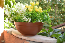 Миска Парма 26 терракот 4,1л 