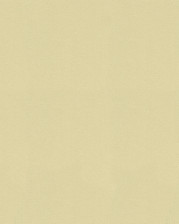 Обои 3504-19 Solo Feerie1,06х10 (4)