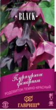 Семена Родохитон Пурпурные фонарики 4шт (Гавриш) Семена Родохитон Пурпурные фонарики 4шт (Гавриш)