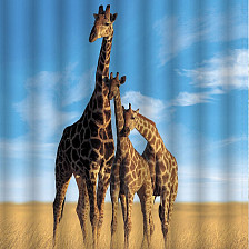 Штора для ванной комнаты 180х200см BRIMIX ЖИРАФЫ, фотопечать, без колец 02-24