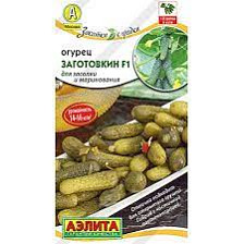 Семена Огурец Заготовкин F1 10шт парт (Аэлита)