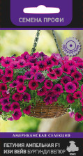 Семена Петуния ампельная Изи Вейв Бургунди Велюр F1 (Поиск)