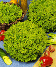 Семена Салат Лолло Бионда (Поиск)