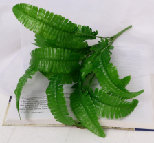 Букет "Папоротник Нефролепис" 26см 7995332