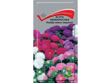Семена Астра низкорослая Ковер Смесь окрасок (Поиск)