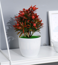 Бонсай в горшке "Калистемон" 20х10см Микс 5664387