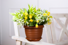 Горшок "Толедо" d 27 7л терра с поддоном