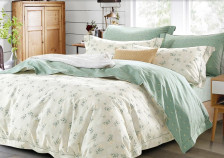 КПБ поплин Pure Cotton 189-PCM 70х70 Евро Cleo