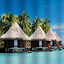 Штора для ванной комнаты 180х200см BRIMIX РАЙСКИЙ ОСТРОВ, фотопечать, без колец 02-14