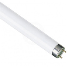 Лампа люминесцентная Т8 15W/6500 G13 Camellion