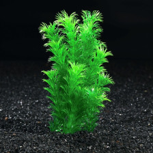 Зелень для аквариума 18,5 см 1607520