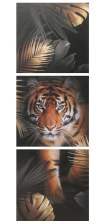 Картина модульная "Тигр" 37х111см 6990948