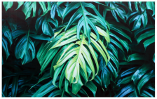 Картина на подрамнике "Монстера" 70х110см, 6956772