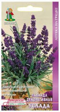 Семена Лаванда декоративная Услада (А) (Поиск)