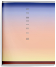 Тетрадь предметная 48 л Schoolformat Натуральный градиент