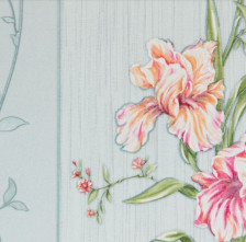 Обои Аспект Ирис 80007-66 0,53х10 (12)