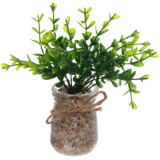 Цветок Суккулент 5х15см в стеклянном горшке 951-385