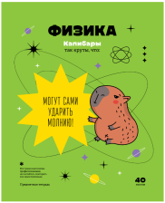 Тетрадь предметная 40 л BG Записки школьника Физика