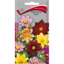 Семена Георгина Радуга (Поиск)