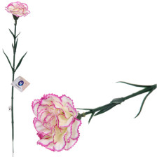 Цветок искуственный Гвоздика 50см белая 993-0596