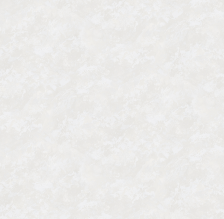 Обои 285621 Victoria Stenova Fresco (1,06х10) (6)