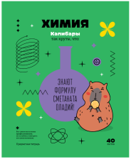 Тетрадь предметная 40 л BG Записки школьника Химия