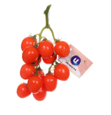 Муляж Ветка помидоры черри красные 22см 998-047