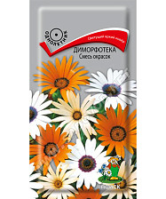 Семена Диморфотека Смесь окрасок (Поиск)