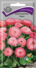 Семена Маргаритка Мария (Поиск)