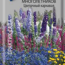 Семена Смесь высоких многолетников Цветочный карнавал (Поиск)