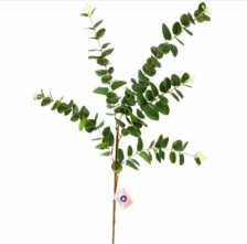 Ветка Эвкалипт Natur 95см ярко зеленая 993-0771 