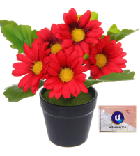 Цветочная композиция Поцелуй лета Хризантема красная 20см 951-576