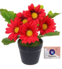 Цветочная композиция Поцелуй лета Хризантема красная 20см 951-576