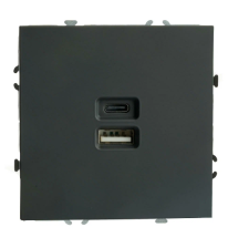 Розетка 2-м USB+Type Эмили RST10-5115-05 черный уголь