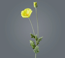 Цветок искусственный Мак исландский 108 см зеленовато-белый