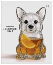 Тетрадь предметная 48 л BG Юный гений Английский язык