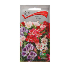 Семена Годеция Монарх (Поиск)