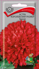 Семена Астра королевский размер Красная (Поиск)