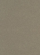 Щит мебельный Союз(3,05х0,6)4мм 1079Г бежевый блеск