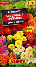 Семена Георгина Махровые миньоны смесь 7 шт (Аэлита)