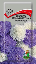 Семена Скабиоза темно-пурпурная Ледяное сердце (Поиск)