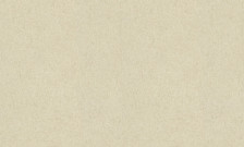 Обои 90855 Style Walls 1,06x10 (6)