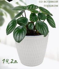 Кашпо Kerama 600х8см 14,2л белый