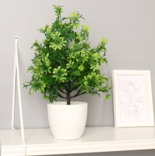 Бонсай в горшке "Колючник" 9х35см, микс 7081296