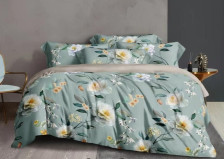КПБ тенсель Soft Tencel 1001-TS 50х70 2 сп Cleo