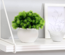 Бонсай в горшке "Пушистые колючки" 9х13см, микс 4457610